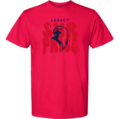 Heavyweight Ring Spun Tee