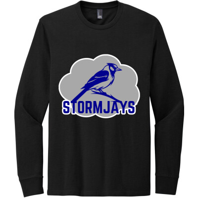 Perfect Blend CVC Long Sleeve Tee