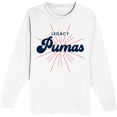 Unisex Heavyweight Long Sleeve Tee