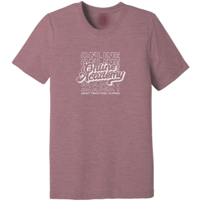 Unisex Triblend Short Sleeve Tee