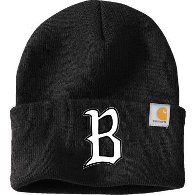 Carhartt Watch Cap 2.0
