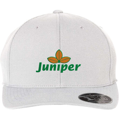 Flexfit Pro-Formance Cap