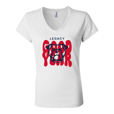 Women’s Jersey V-Neck Tee