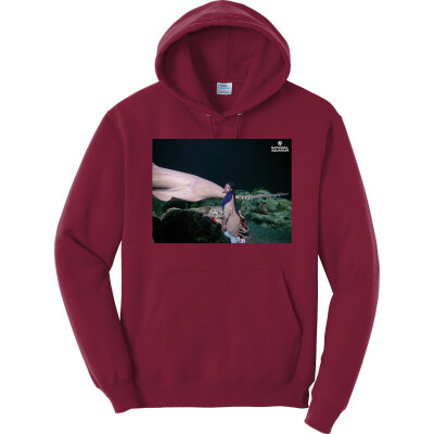 Core Fleece Pullover Hooded Sweatshirt