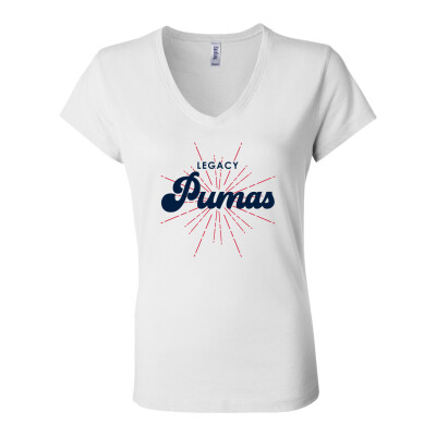 Women’s Jersey V-Neck Tee