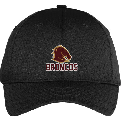 Pro Mesh Cap