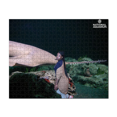 16x20 500 piece Puzzle in Box