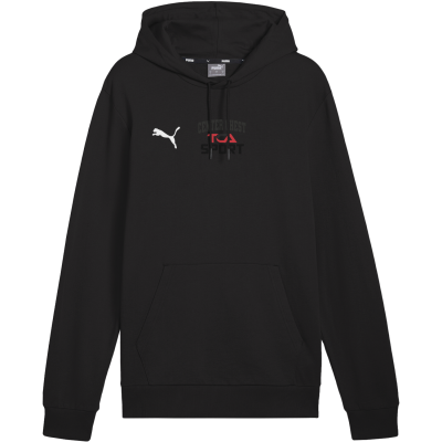 Puma Adult TEAMGOAL Casuals Hoodie