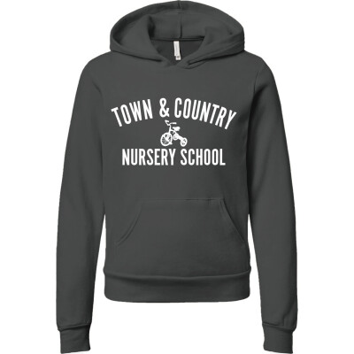 Youth Sponge Fleece Pullover Hoodie- DTF Transfer