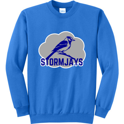 Core Fleece Crewneck Sweatshirt