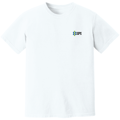 Comfort Colors Heavyweight Ring Spun Tee