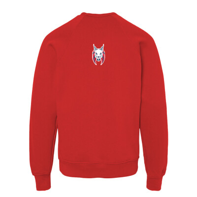 Youth Sponge Fleece Crewneck Sweatshirt