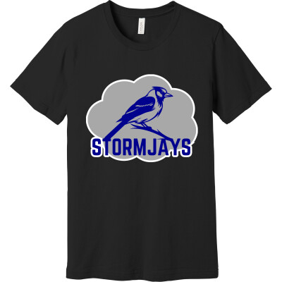 Bella+Canvas Unisex Jersey Short Sleeve Tee