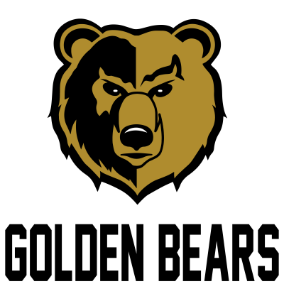 Shelbyville High School Volleyball_LOGO WITH NAME.png