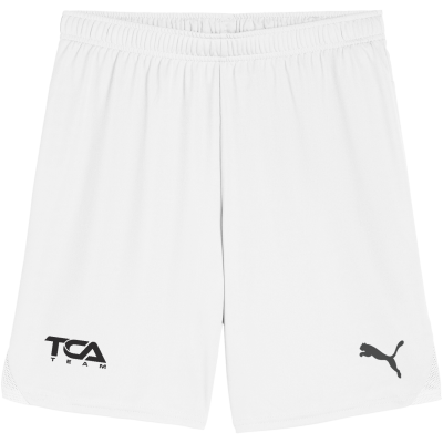 Puma Men's TEAMGOAL Shorts