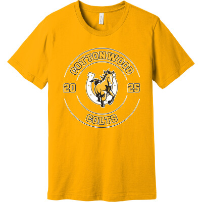 Bella+Canvas Unisex Jersey Short Sleeve Tee
