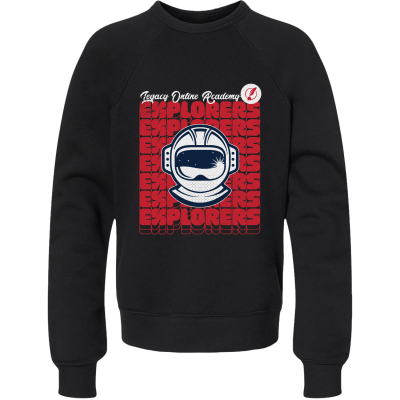 Youth Sponge Fleece Crewneck Sweatshirt