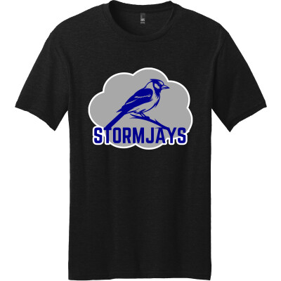 Perfect Blend CVC Tee