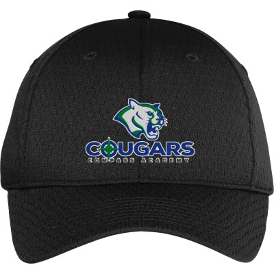 Pro Mesh Cap
