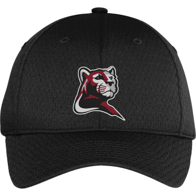 Pro Mesh Cap
