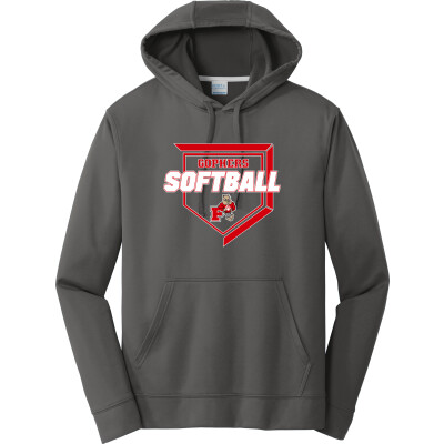 Performance Fleece Pullover Hooded Sweatshirt