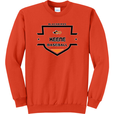 Core Fleece Crewneck Sweatshirt