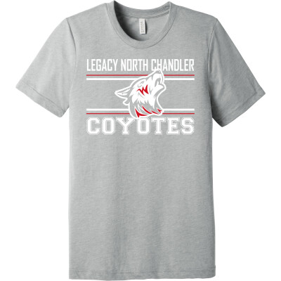 Unisex Triblend Short Sleeve Tee