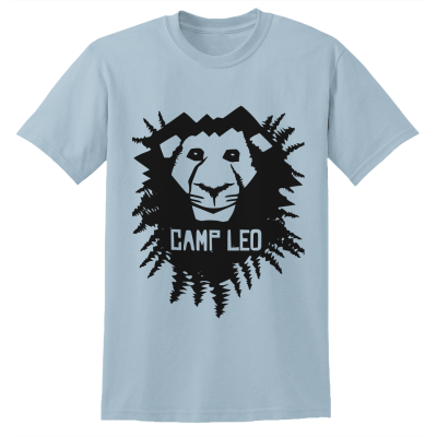 Gildan 50 Cotton/50 Poly T-Shirt