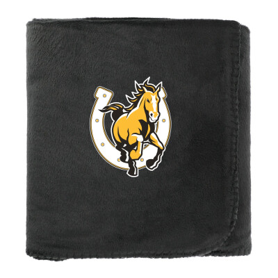 100% Recycled PET Fleece Blanket with RPET Pouch