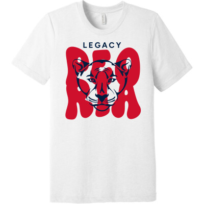 Unisex Triblend Short Sleeve Tee