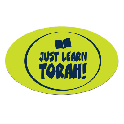 3.5 Oval Car Magnet"