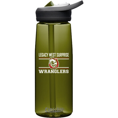 CamelBak Eddy+ 25oz Bottle Tritan Renew