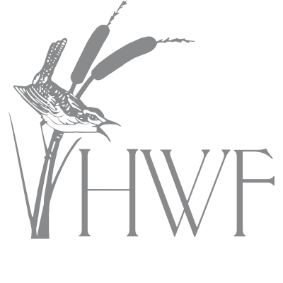 LOGO HWF COOL GRAY.png