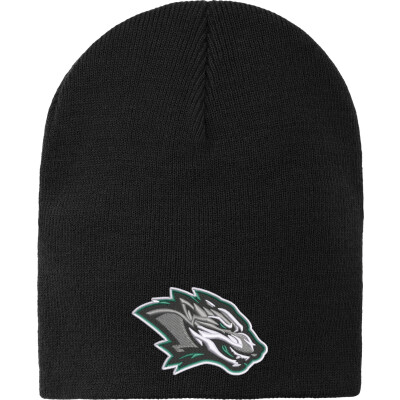 Knit Skull Cap
