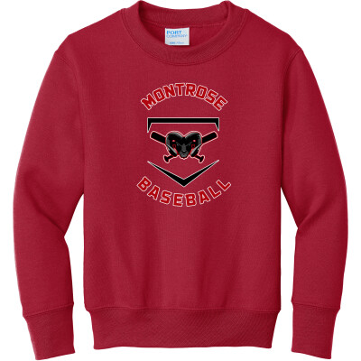 Youth Core Fleece Crewneck Sweatshirt