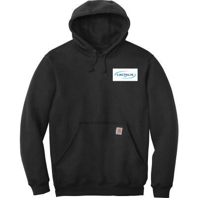 Carhartt Midweight Hooded Sweatshirt