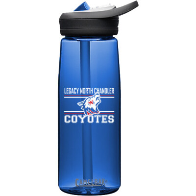 CamelBak Eddy+ 25oz Bottle Tritan Renew