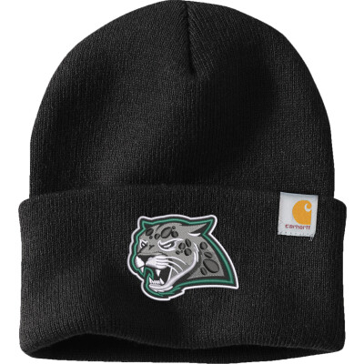 Carhartt Watch Cap 2.0