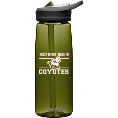 CamelBak Eddy+ 25oz Bottle Tritan Renew