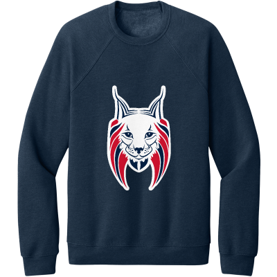 Unisex Sponge Fleece Raglan Sweatshirt