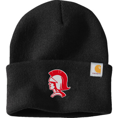 Carhartt Watch Cap 2.0